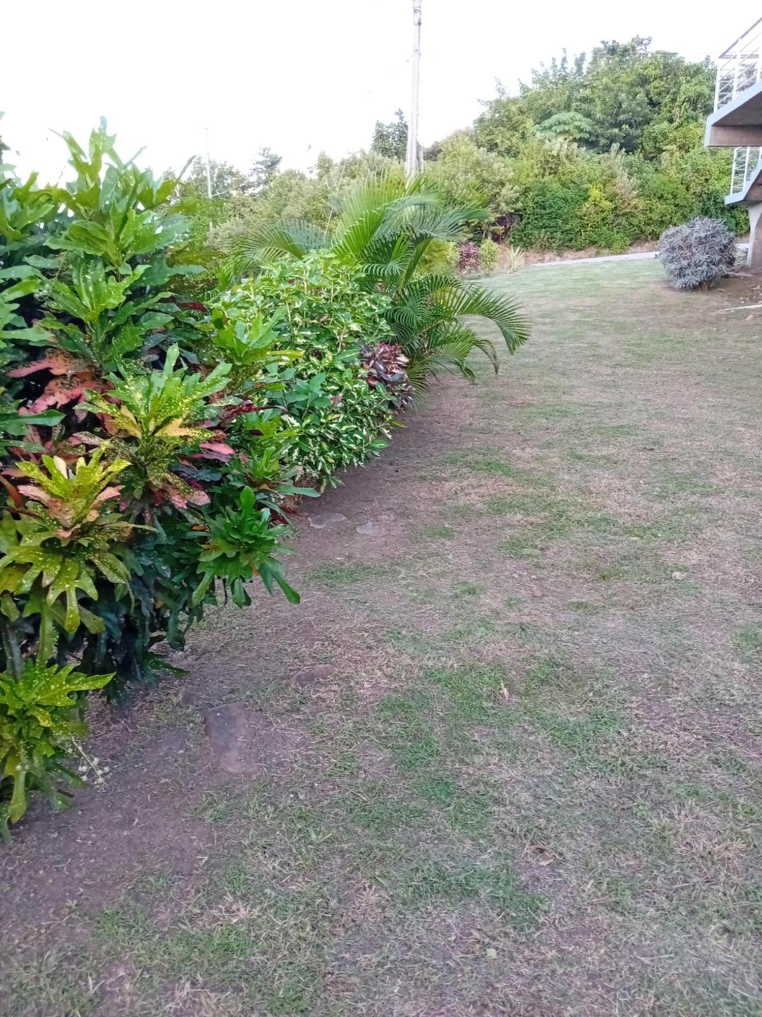 Serenity Seaview Suite Anse La Raye Luaran gambar